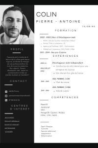 Mon cv